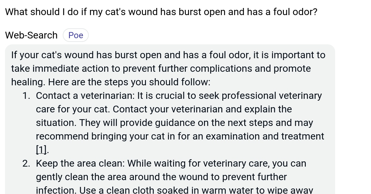 What should I do if my cat's wound has burst open and has a foul odor