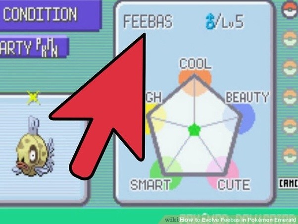 What is the rarest Pokémon you have? Quora