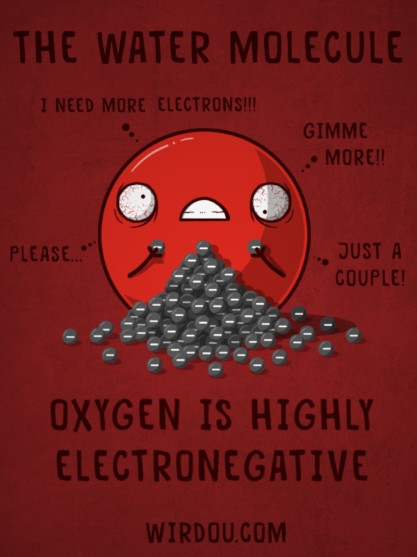 Why is water considered a polar molecule? Quora
