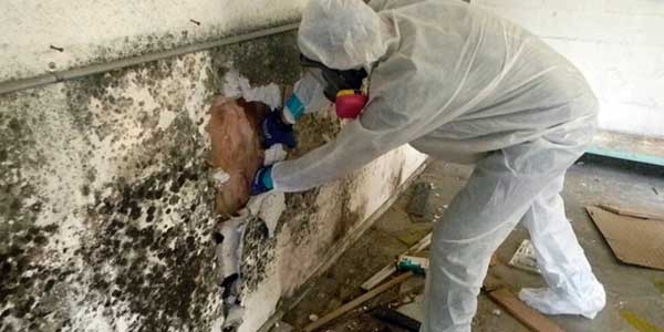 Can you get sick from smelling mold? Quora