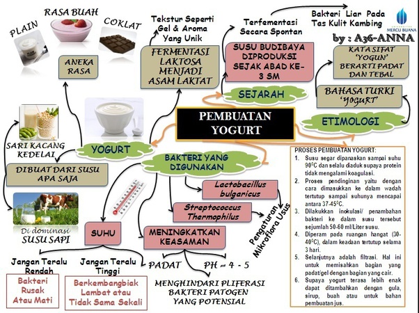 Mengapa yoghurt memiliki rasa asam dan teksturnya kental? Quora