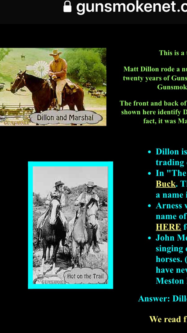 What breed of horse did Matt Dillon ride in the western 'Gunsmoke'? Quora