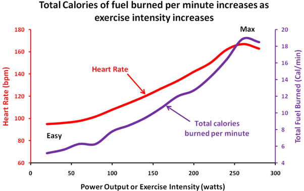 Does walking burn more calories than running? Quora
