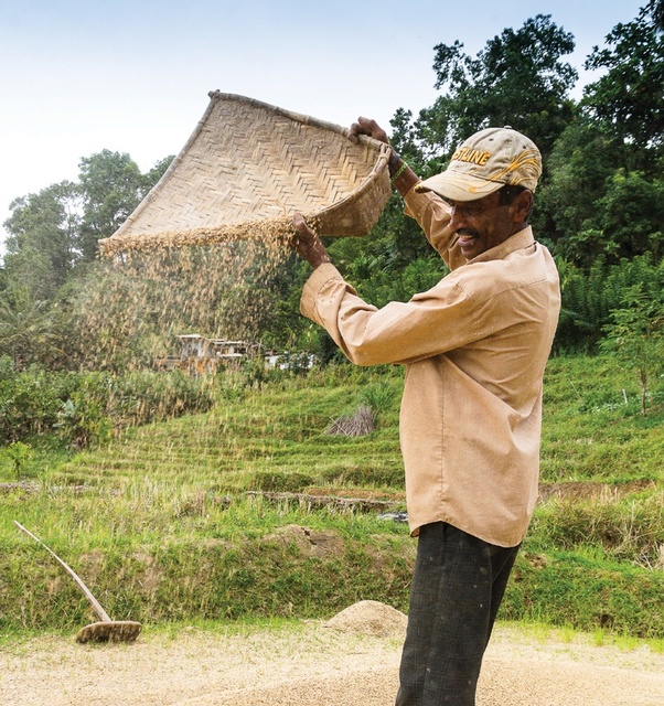 What Is The Definition Of Winnowing DEFINITION JKS