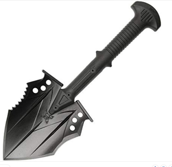 You have just been thrown into the colosseum in a