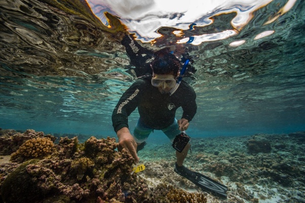 Why can’t we take oxygen out of the water so that divers have an