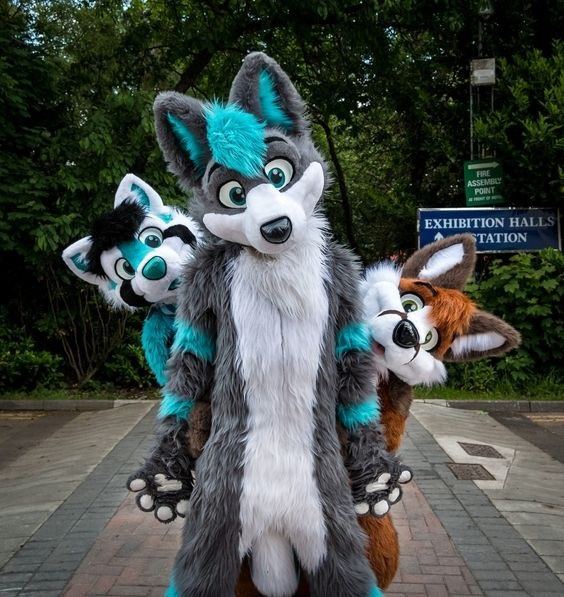 When Do furries wear their costume? Quora