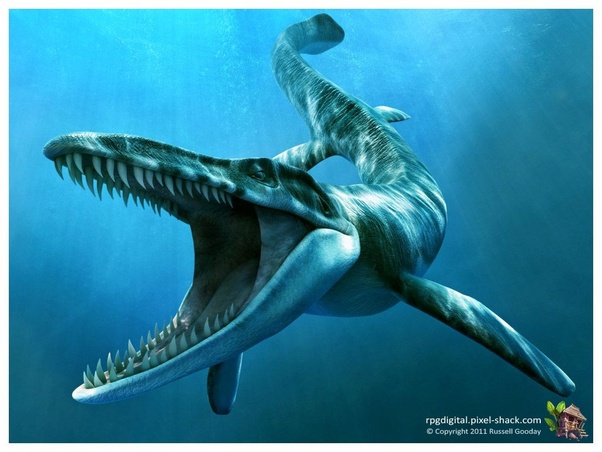 What are some of the most fascinating prehistoric marine animals? Quora
