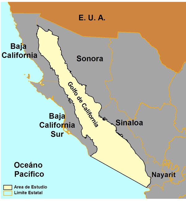 Sea Of Cortez Mexico Map By what other name is the Sea of Cortez known by? Quora