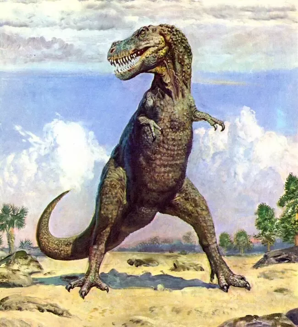 Could a TRex stand upright for a few seconds? Quora