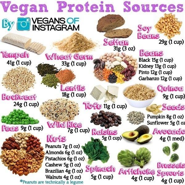How can a vegan afford 100g of protein per day? Quora
