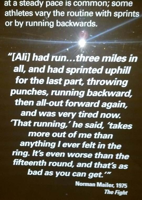 How many miles should a boxer run every day? Quora