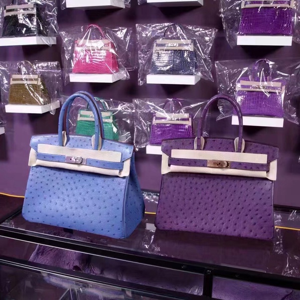 What do you think about expensive brands like Gucci or Versace? Why do