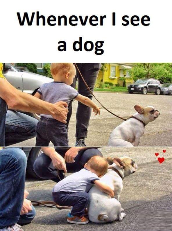 What are some of the funniest memes related to our everyday life? Quora