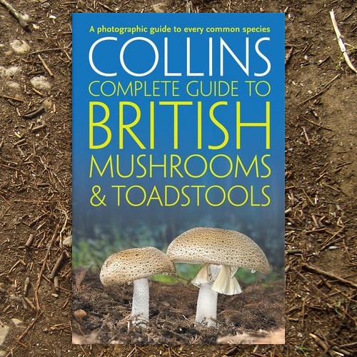 What's the best mushroom identification book for Europe? Quora