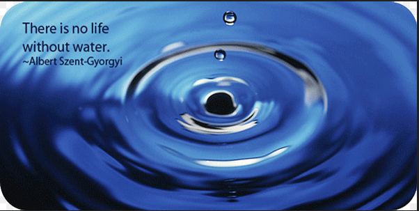 Why water is the source of life? Quora