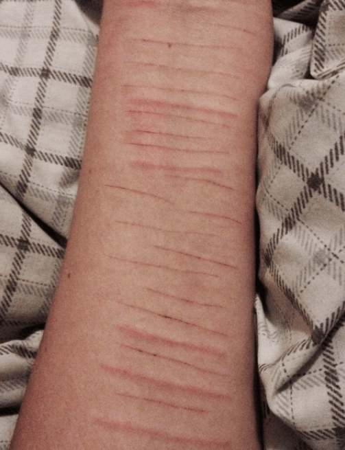 Who are the four PBB members that Ashke should keep in contact with