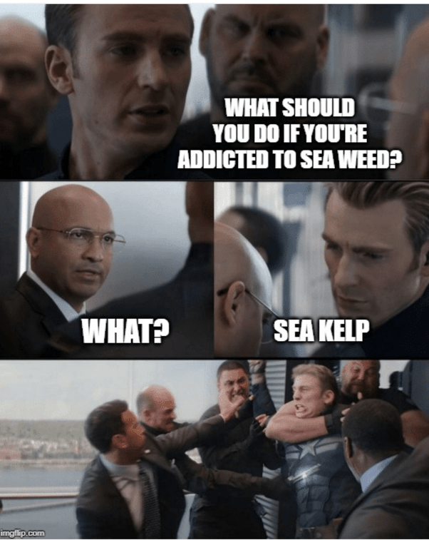 What are the best Captain America memes? Quora
