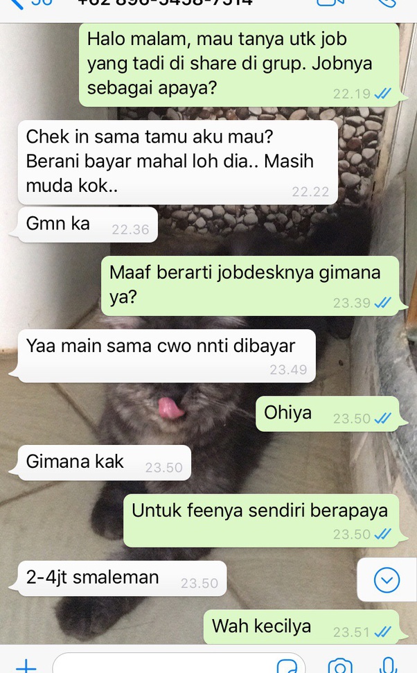 Apa bukti bahwa manusia itu kejam? Quora