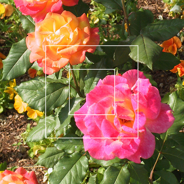 How does digital zoom works internally in mobile cameras? Quora