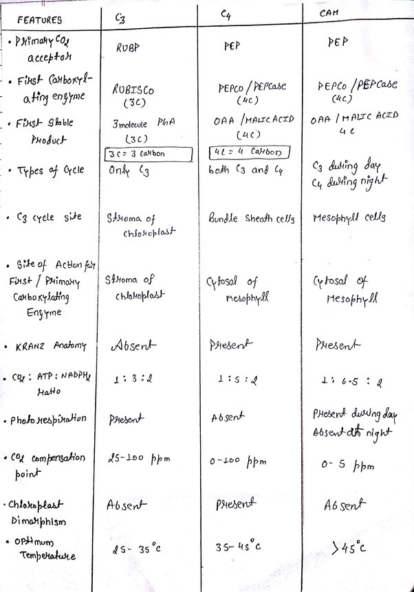 Difference Between C3 And C4 Plants Table Plant Corz