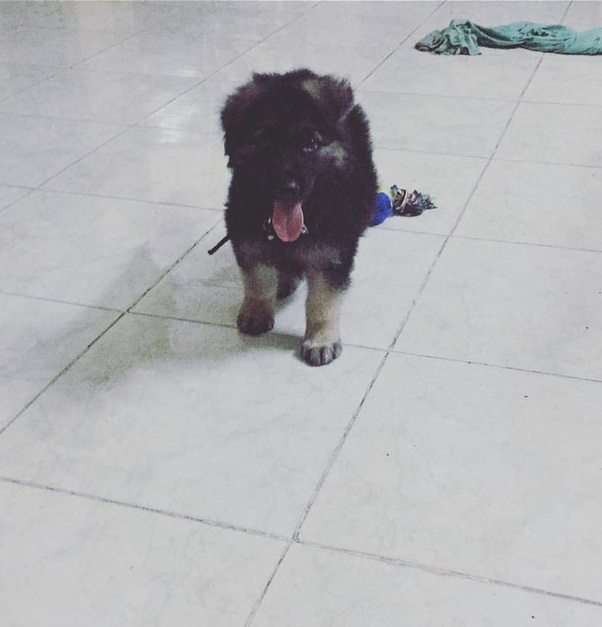 If you love someone unconditionally, do you ever move on from them? If