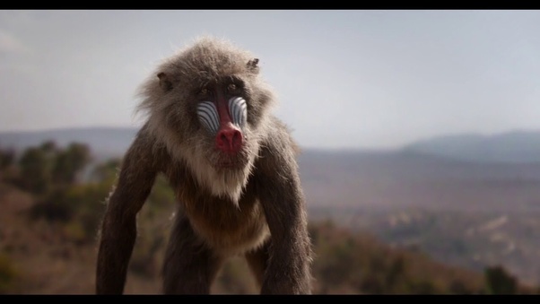 What kind of animal is Rafiki? Quora
