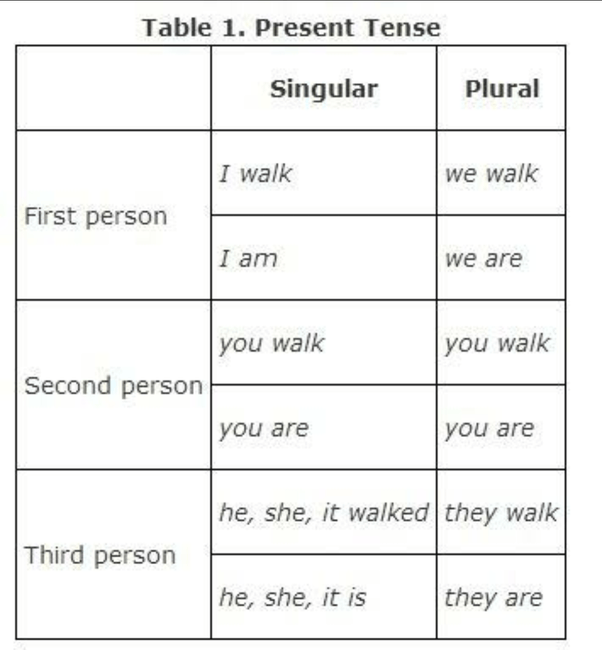 Third Person Plural