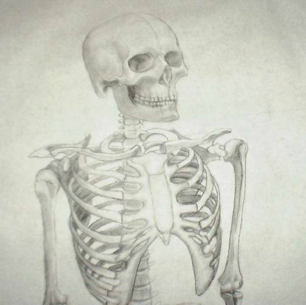 How to start sketching/drawing Quora