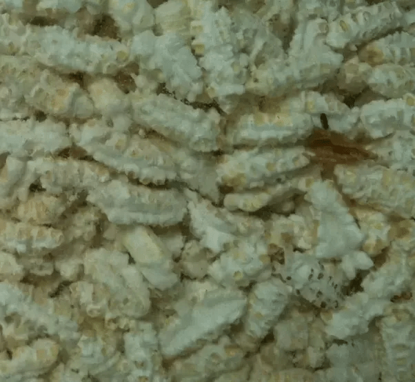 Which corn flakes are better for dieting purpose? Quora