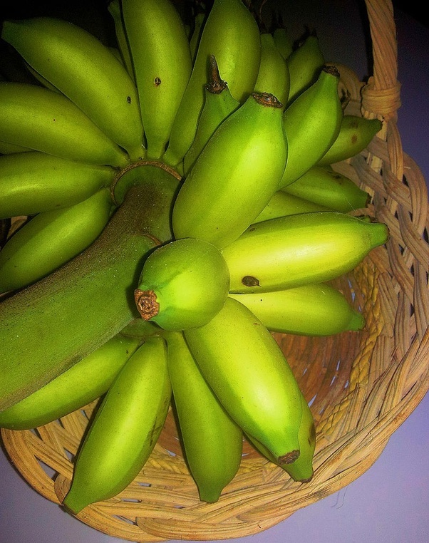 Mengapa ada banyak varian pada buah pisang seperti pada ukuran, rasa