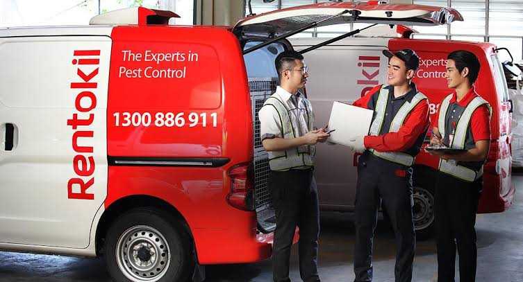 Mengapa jarang sekali menemui semut dan nyamuk di hotel? - Quora