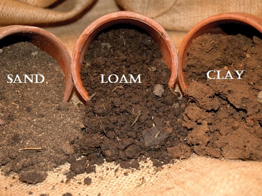Why is loam important to agriculture? Quora