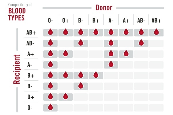 Can someone with AB blood donate a kidney to a person with A+ blood