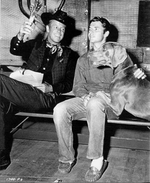 What did Audie Murphy do in war to so heroic? Quora