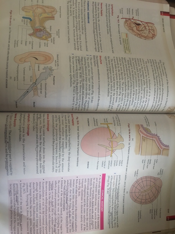 What is the best clinical anatomy book for a 1styear MBBS