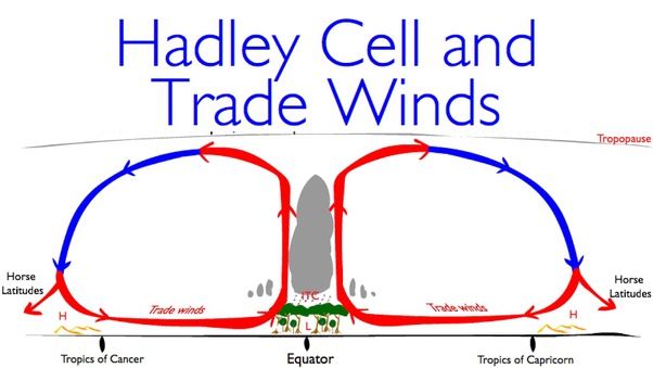 What are Hadley Cells? Quora