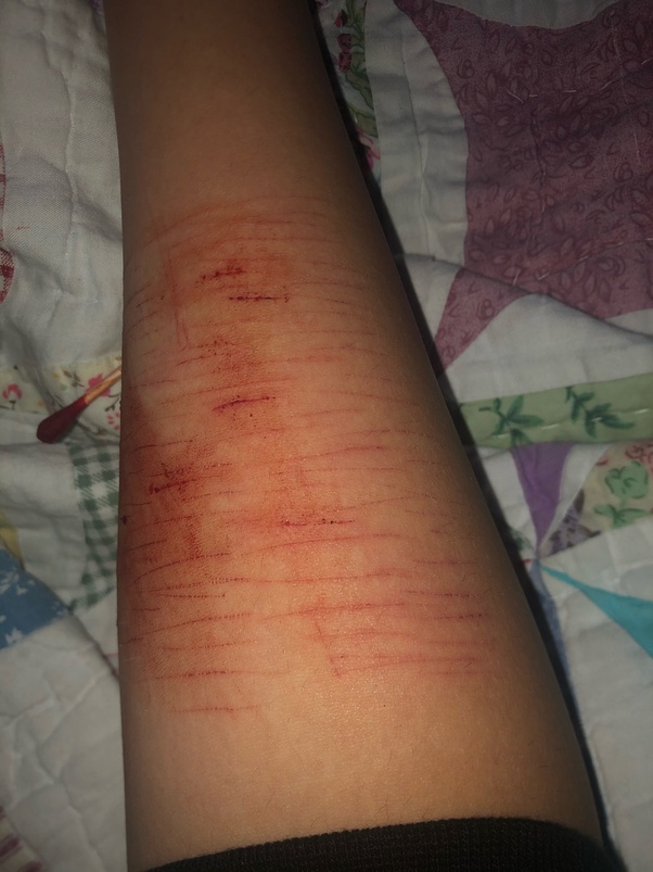 Someone To Cut My Grass