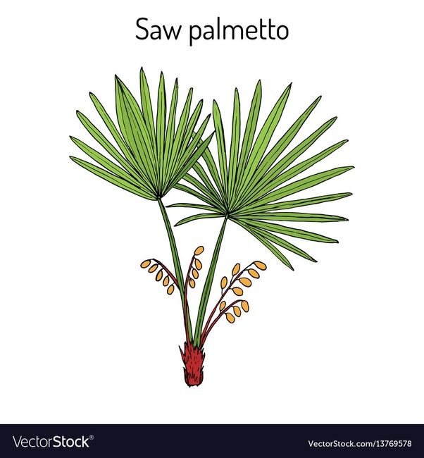 How to reduce DHT by natural remedies Quora