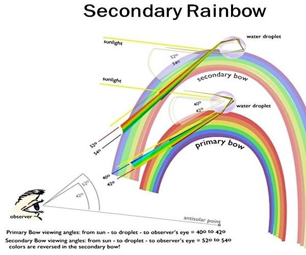 In the formation of primary rainbow, the sunlight rays emerge at