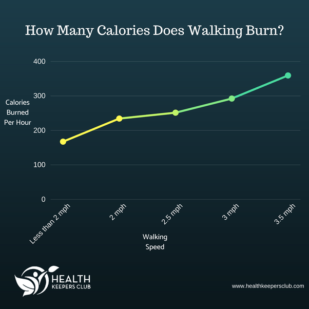 How many calories does walking for an hour/per hour burn? Quora