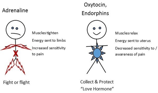 What are some symptoms of low oxytocin? Quora