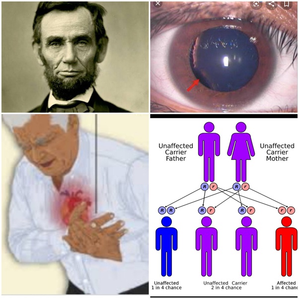 Which are some of the best connect the images/pictures quiz questions