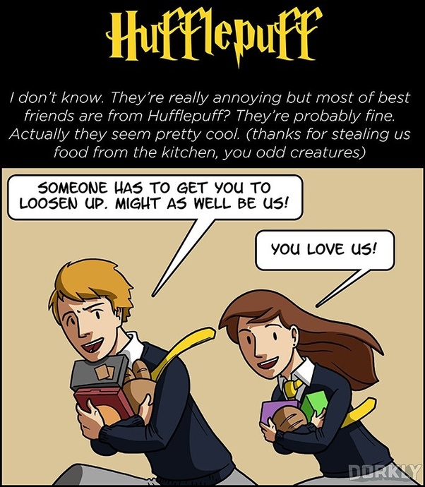 What are the unwritten rules of being a Harry Potter fan