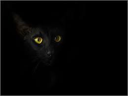 What Is The Meaning Of �Black Cat In A Dark Room�? - Quora