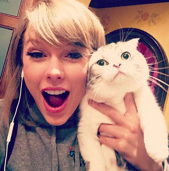 How many cats does Taylor Swift have? Quora