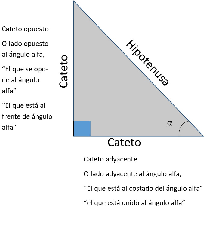 Cual Es El Cateto Adyacente Halos