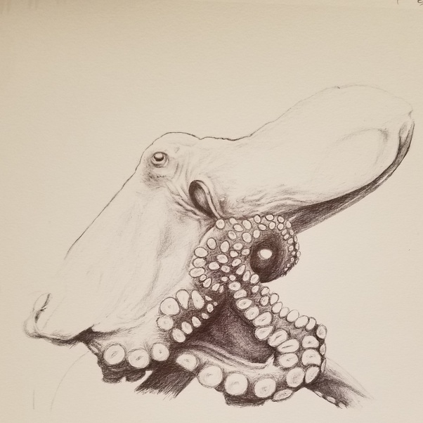 Is it possible to draw two separate lines without lifting