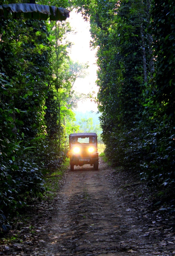 What are some of the best Homestays in Karnataka? Quora