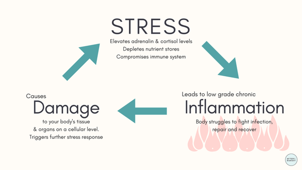 If stress suppresses the immune system, why is it considered bad for